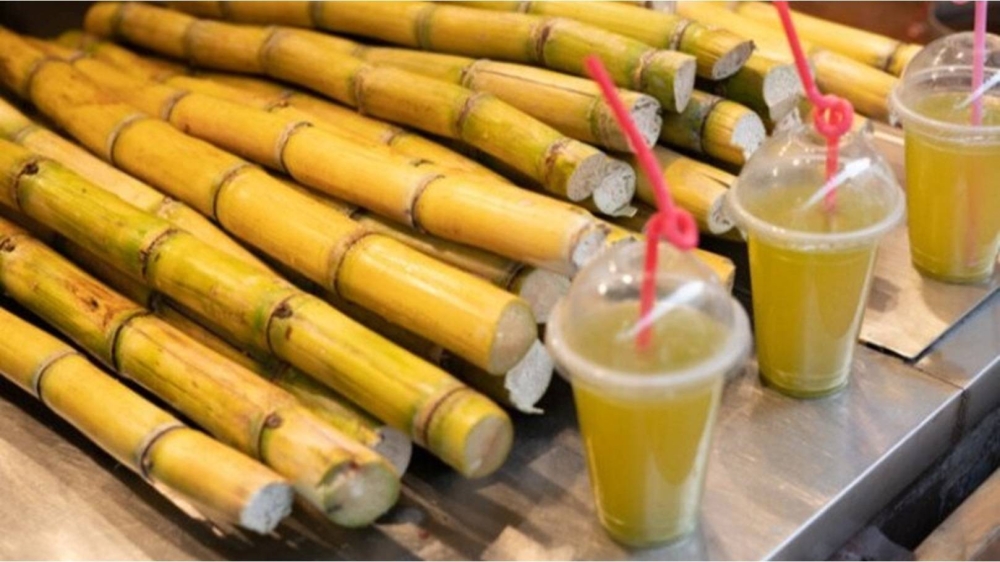 لماذا يُنصح بشرب عصير القصب؟.. إليك أبرز فوائده للكلى والمناعة والقولون
