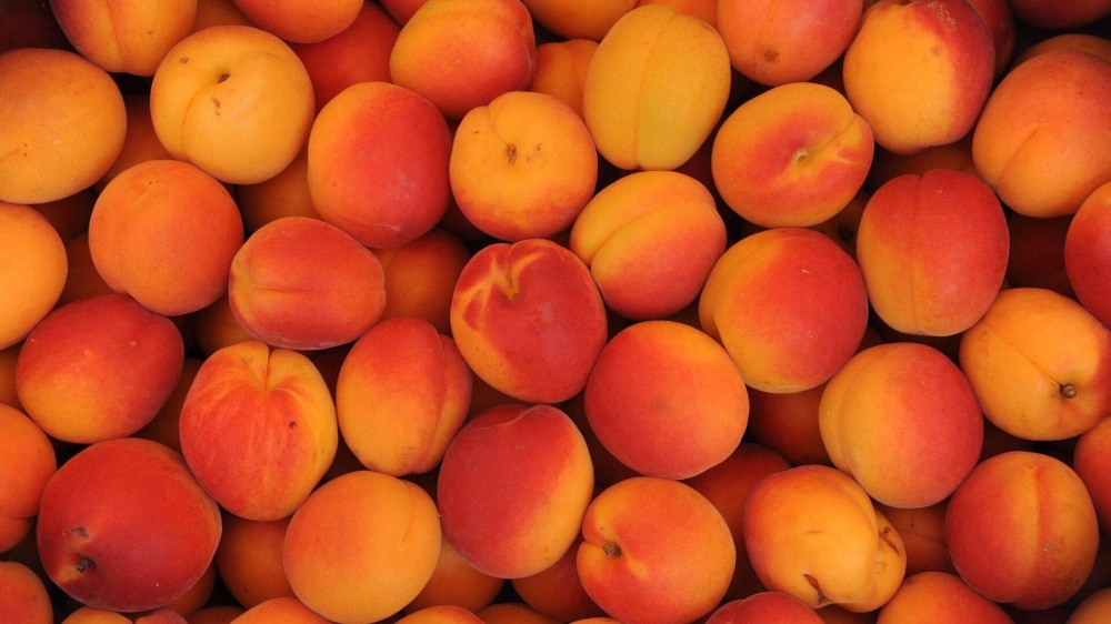 فوائد المشمش في تعزيز صحة العين