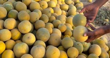 ماذا تفعل فاكهة الشهد بجسمك؟ فوائد مذهلة للقولون وتحذيرات للفئات الممنوع