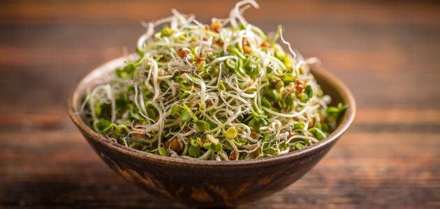 هل الحلبة المنبتة مفيدة لمرضى السكري؟