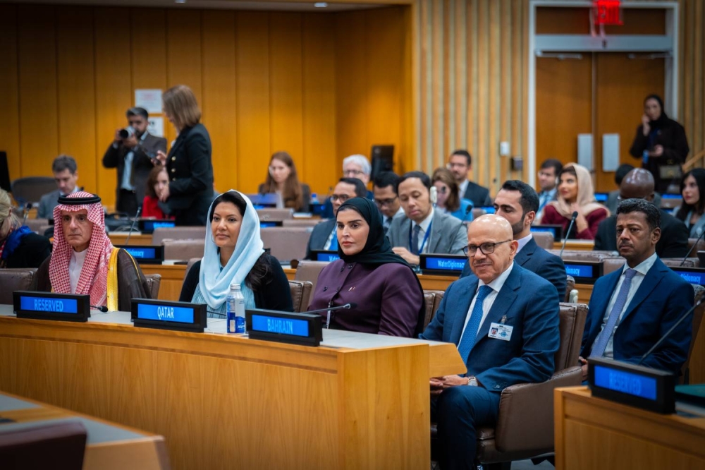 وزير الخارجية يشارك في المؤتمر رفيع المستوى الخاص بالدبلوماسية المائية