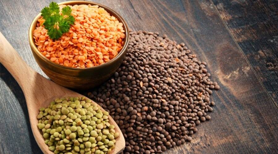 كيف يساعدك العدس البني على تنظيف القولون وخسارة الوزن؟