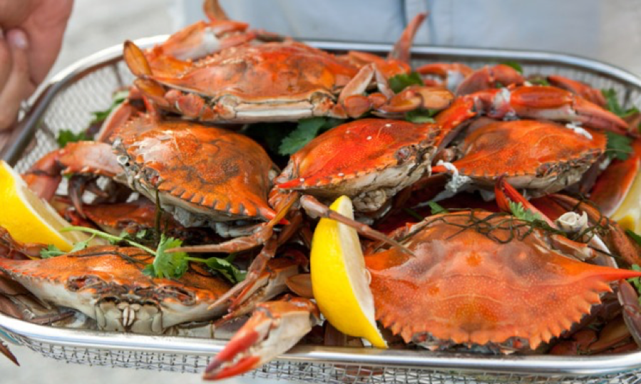 طريقة عمل الكابوريا في المنزل على خطى الشيفات