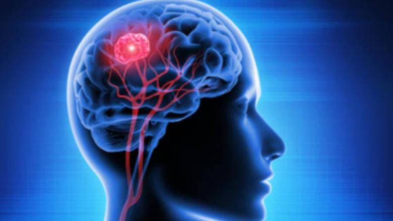 كيف تؤثر الوحدة على وظائف الدماغ والذاكرة؟