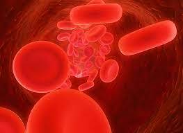 10 عادات صحية تحميك وأطفالك من عدوى الديدان المعوية