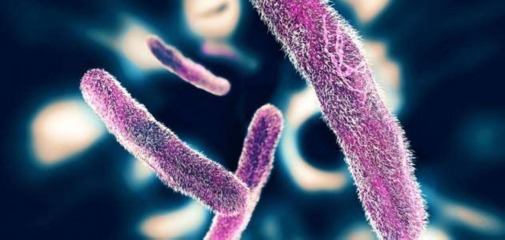 طرق فعالة للوقاية من مرض الزحار.. احرص عليها