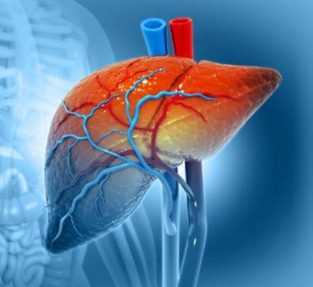 ماذا يحدث لجسمك عندما يضعف الكبد؟