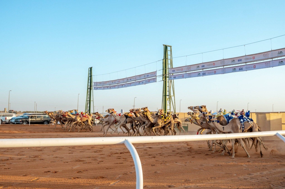الهجن البحرينية تحقق 3 إنجازات في أول أيام كأس الاتحاد السعودي