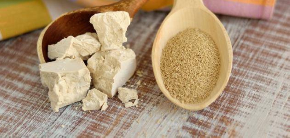 ماذا يحدث لجسمك عند تناول خميرة البيرة؟