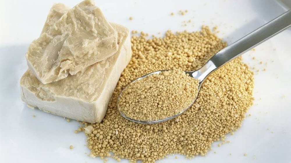 ماذا يحدث لجسمك عند تناول خميرة البيرة؟