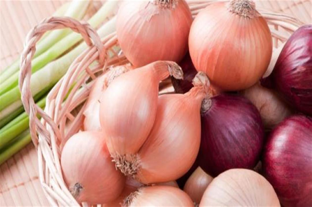 البصل الأبيض أم الأحمر أيهما أفضل؟ تعرف على الفروق والفوائد الصحية