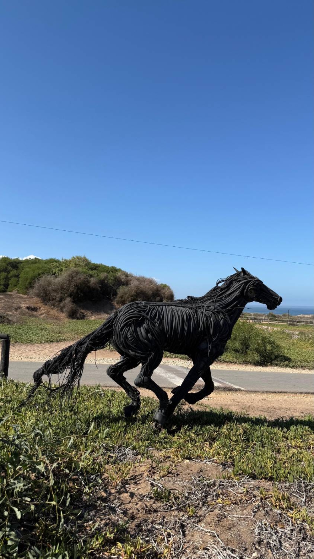المغرب.. منتجع مازاغان جنوب الدار البيضاء واحة من الفخامة والجمال الطبيعي
