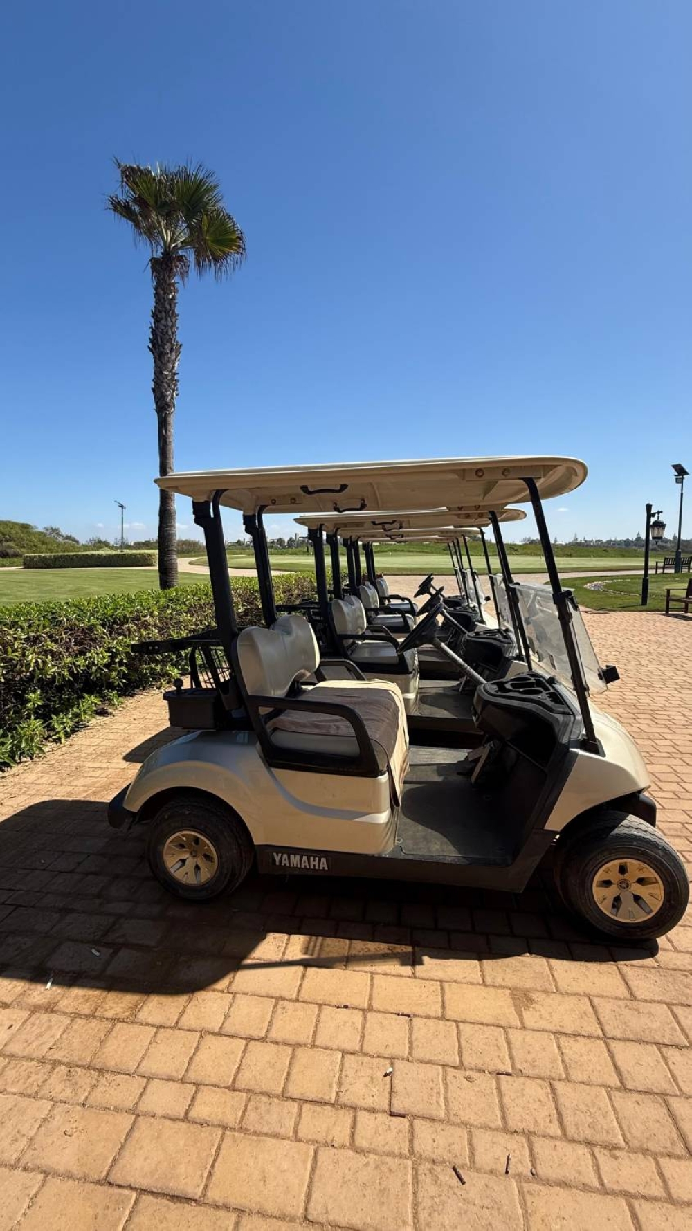 المغرب.. منتجع مازاغان جنوب الدار البيضاء واحة من الفخامة والجمال الطبيعي