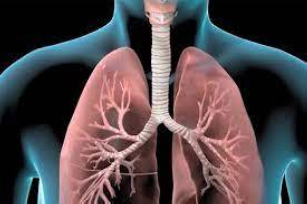 كيفية الوقاية من التهاب القصبات الهوائية.. خطوات بسيطة تحمي رئتيك
