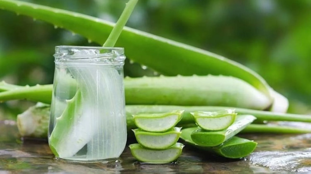 فوائد جل الصبار للوجه قبل النوم.. إليك هذه الماسكات الطبيعية
