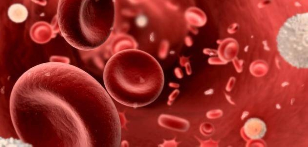 نزيف اللثة والأنف وكدمات مفاجئة.. هل صفائح دمك منخفضة؟