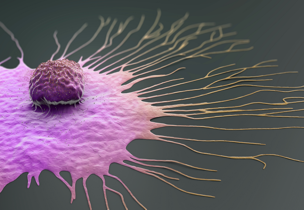 ابتهال الريفي: تعزيز الوعي بسرطان الثدي في أكتوبر مناسبة لتكريم المرأة البحرينية