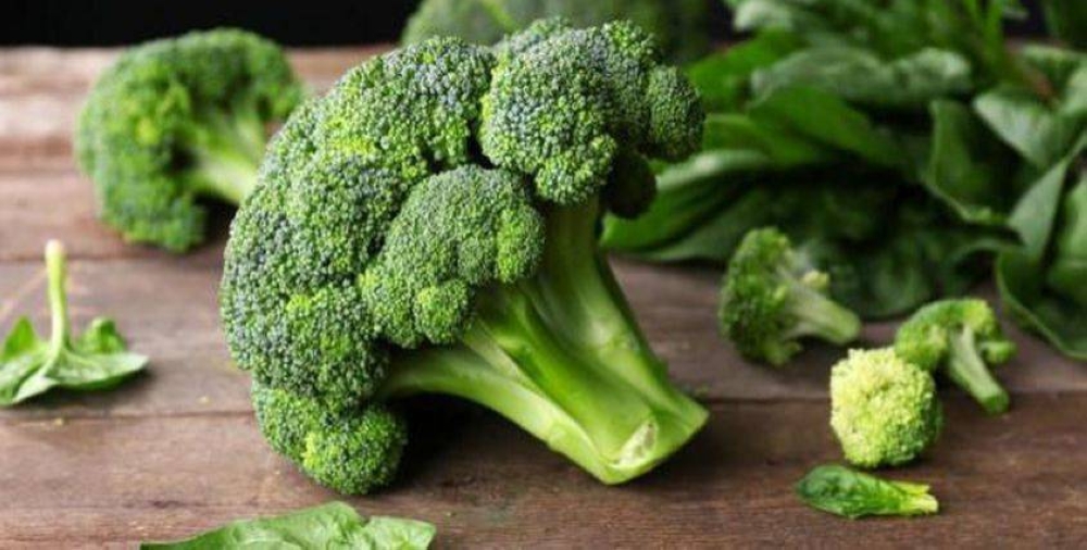 6 فوائد مذهلة للبروكلي.. لماذا يجب أن يكون جزءًا أساسيًا من نظامك الغذائي؟