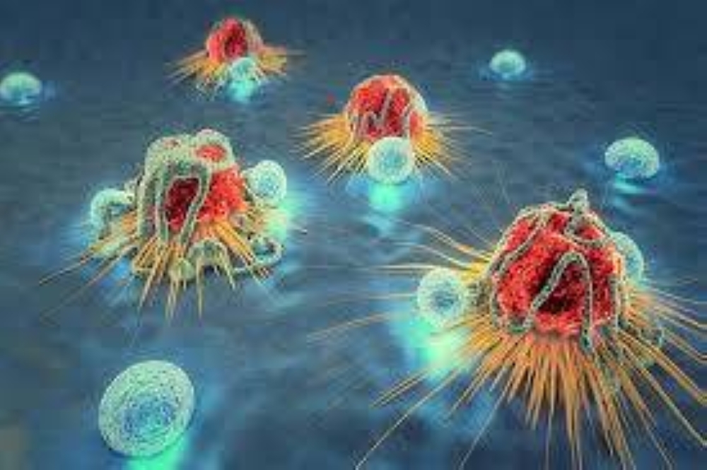 فرصتك الذهبية للشفاء.. لماذا يجب ألا تؤجل فحص السرطان؟