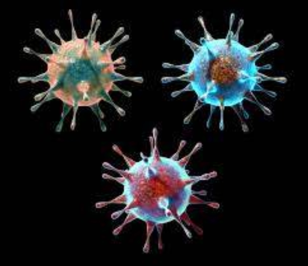 نصائح للوقاية من الحمى الفيروسية.. 7 خطوات تحمي صحتك