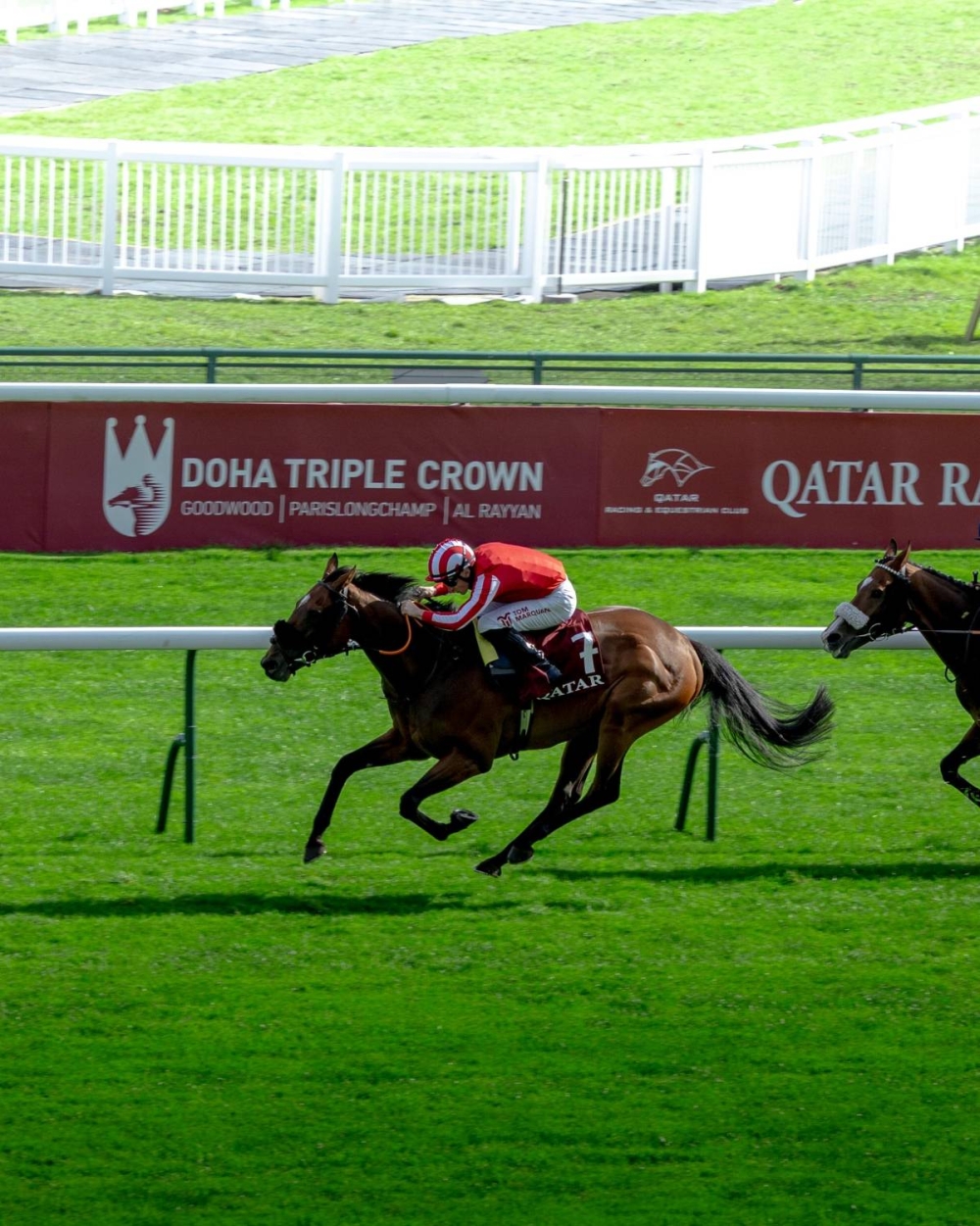 ناصر بن حمد: فوز &laquo;Caballo De Mar&raquo; في جائزة قطر قوس النصر يعكس مكانة الفروسية البحرينية على الساحة الدولية