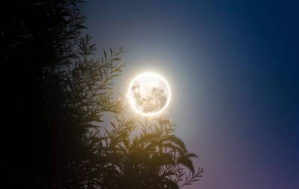 3 أقمار عملاقة تزيّن سماء 2025.. الأرض تودّع العام بلوحة سماوية نادرة