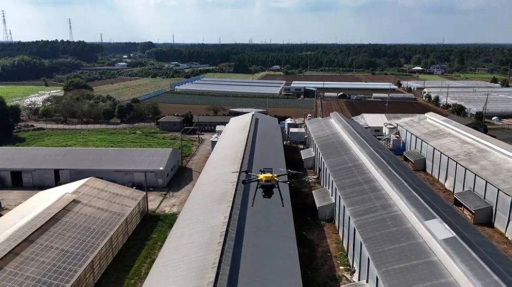 اليابان تستخدم طائرات ليزر ذكية للتصدي لإنفلونزا الطيور