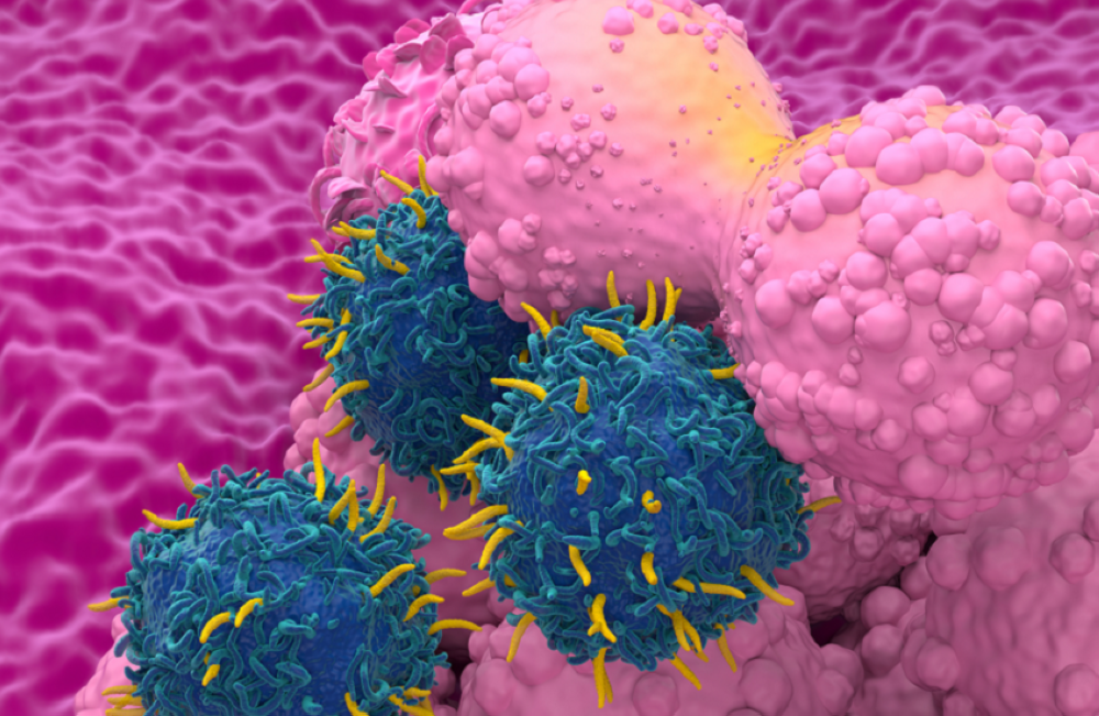 زهرة خليفة: سرطان الثدي مسؤول عن ٪40 من إصابات المرض الخبيث في البحرين