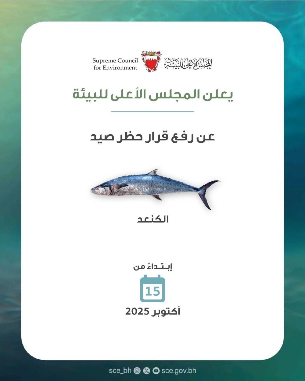 المجلس الأعلى للبيئة يعلن رفع الحظر عن صيد أسماك الكنعد اعتبارًا من 15 أكتوبر