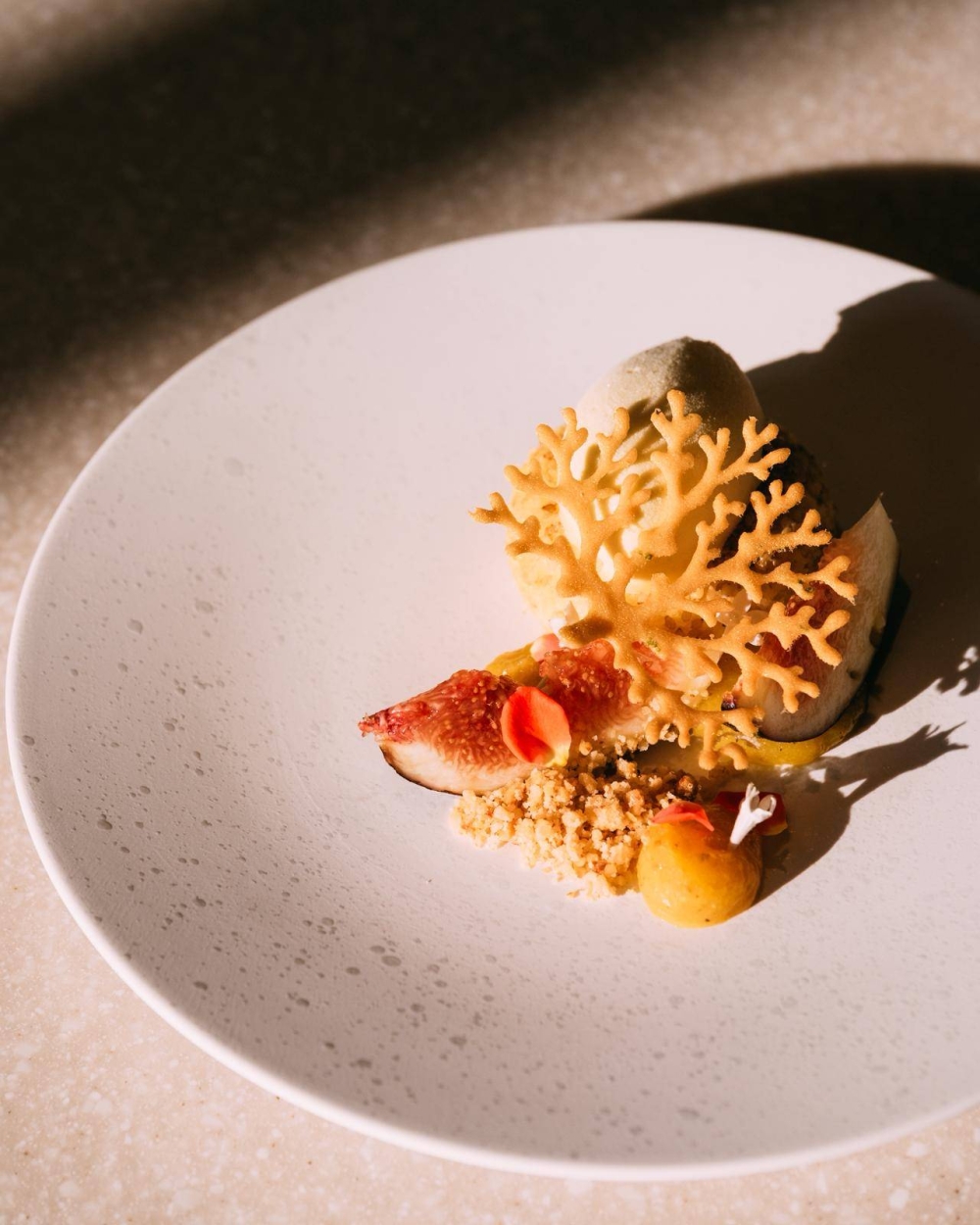 الشيف تاله بشمي: تمثيل المملكة في إكسبو أوساكا شرف كبير وفرصة لعرض غنى مطبخنا أمام العالم