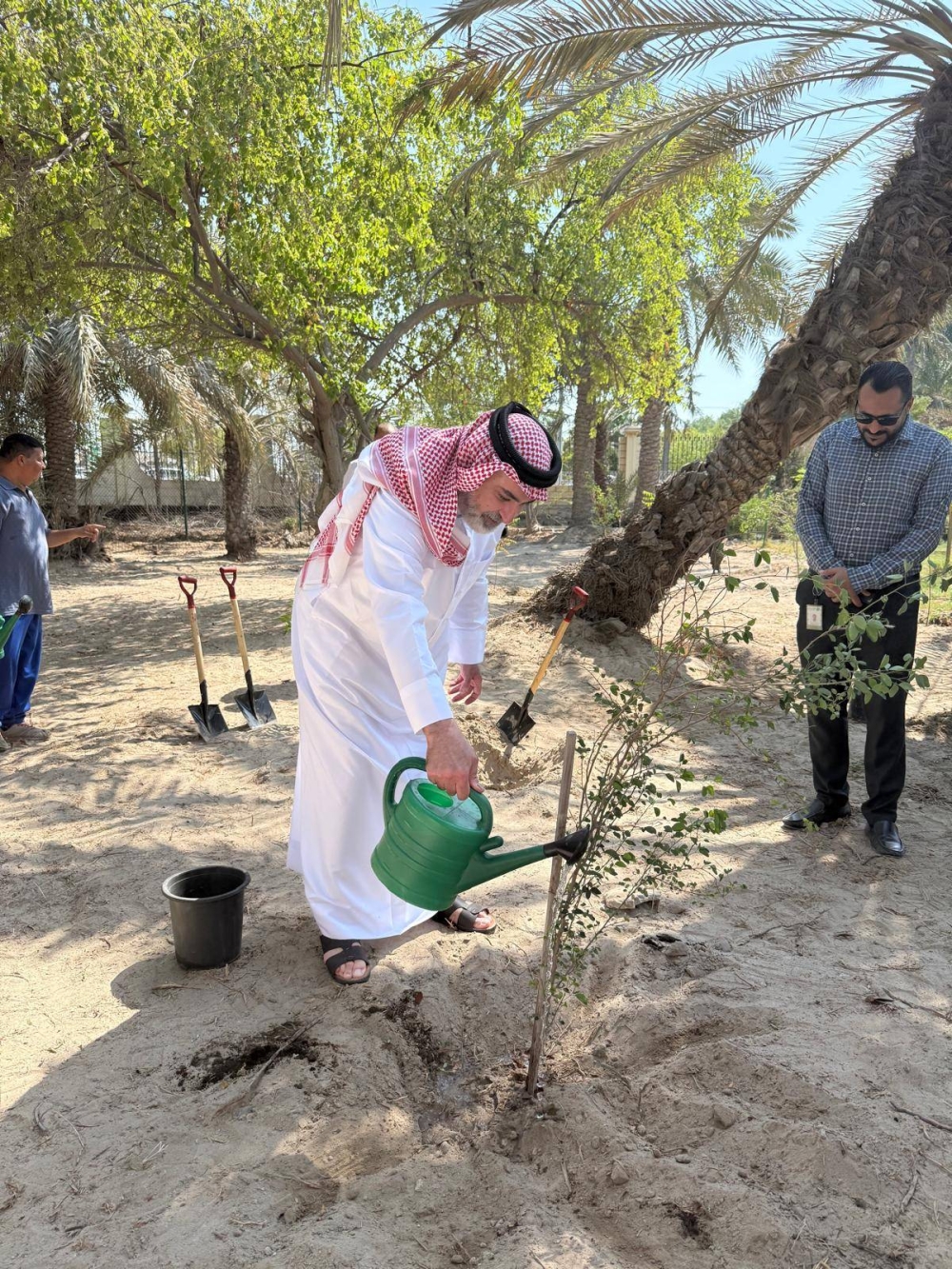 شركة الإبداع تحتفل بأسبوع الشجرة بغرس أشجار في حديقة البديع
