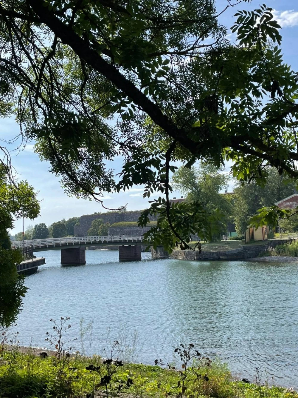 فنلندا.. من الشفق القطبي الساحر إلى شوارع هلسنكي النابضة بالحياة