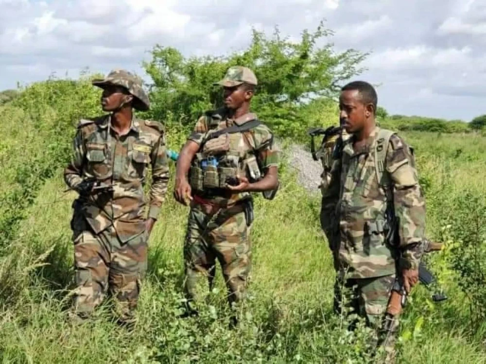 القضاء على سبعة عناصر من حركة &laquo;الشباب&raquo; الإرهابية وسط الصومال