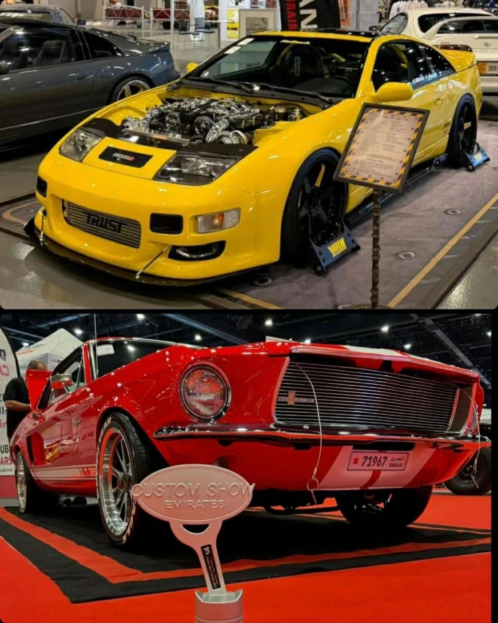 إنجاز بحريني جديد في معرض "كاستم شو &ndash; الإمارات"