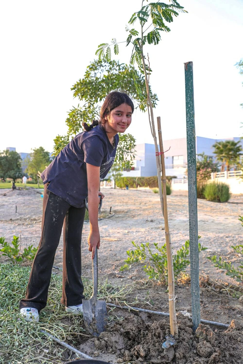 الرفاع فيوز تحتفي بأسبوع الشجرة بزراعة 100 شجرة