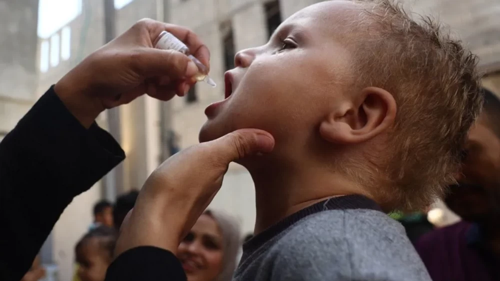 Sorry! Image not available at this time