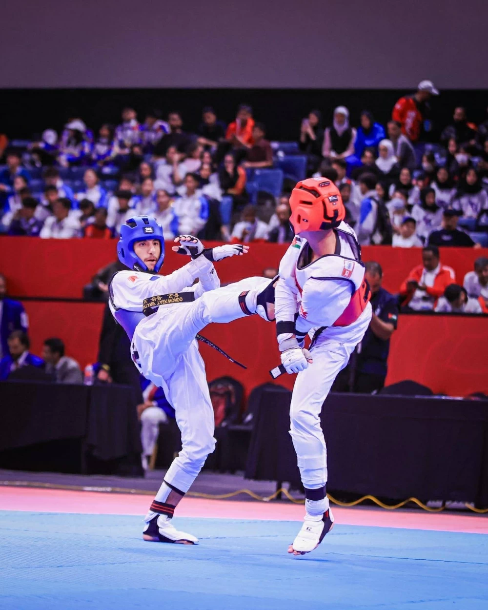 أبطال فنون القتال المختلطة يتألقون.. وانتصارين لمنتخب 3&times;3