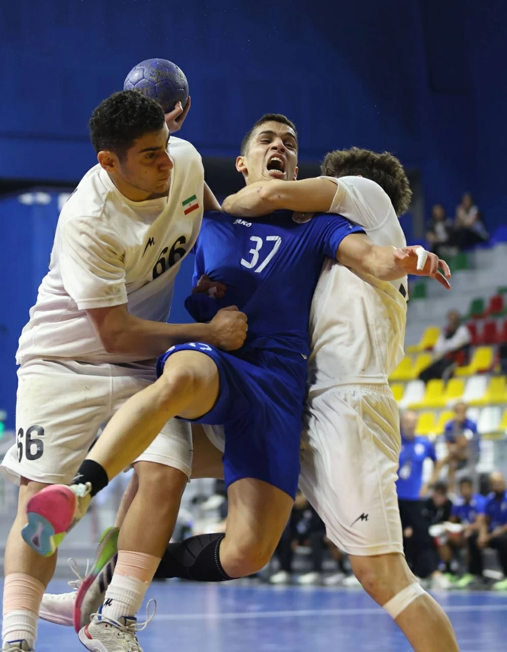 يوم تاريخي منتظر بانطلاق منافسات الهجن بجانب السباحة والريشة الطائرة