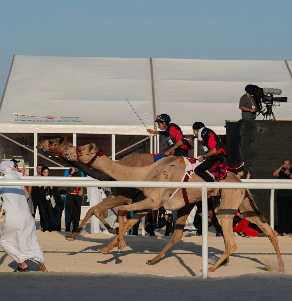 خالد بن حمد: خبرة الشباب البحريني التنظيمية بـ"آسيوية الشباب" مصدر فخر