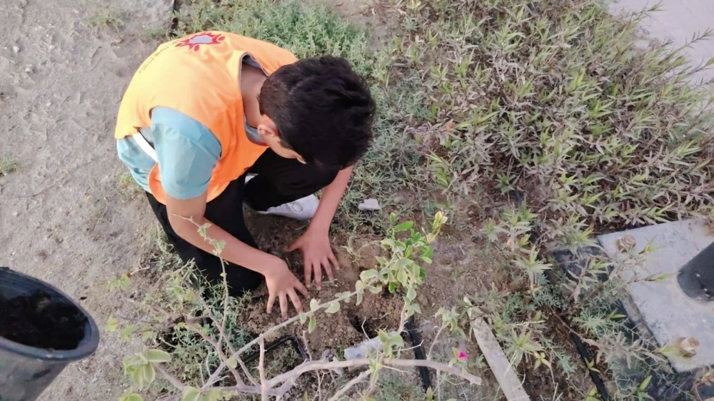 Sorry! Image not available at this time