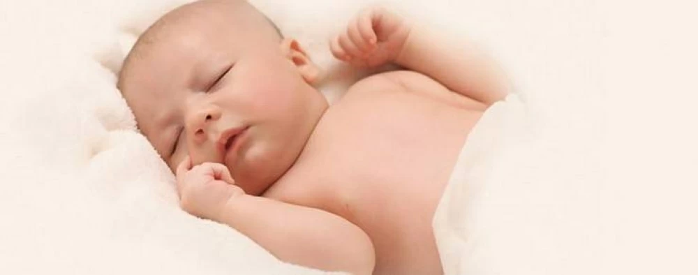 Sorry! Image not available at this time