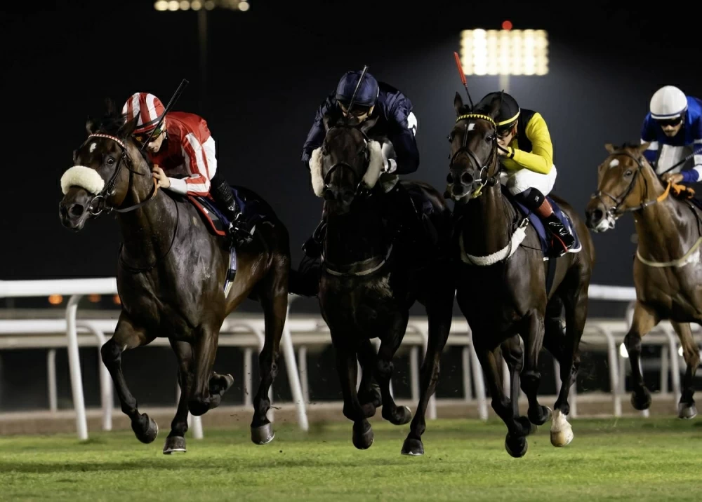 الإثارة تتجدد على كؤوس شركة " جيبك " والمرحوم عبد الهادي العفو