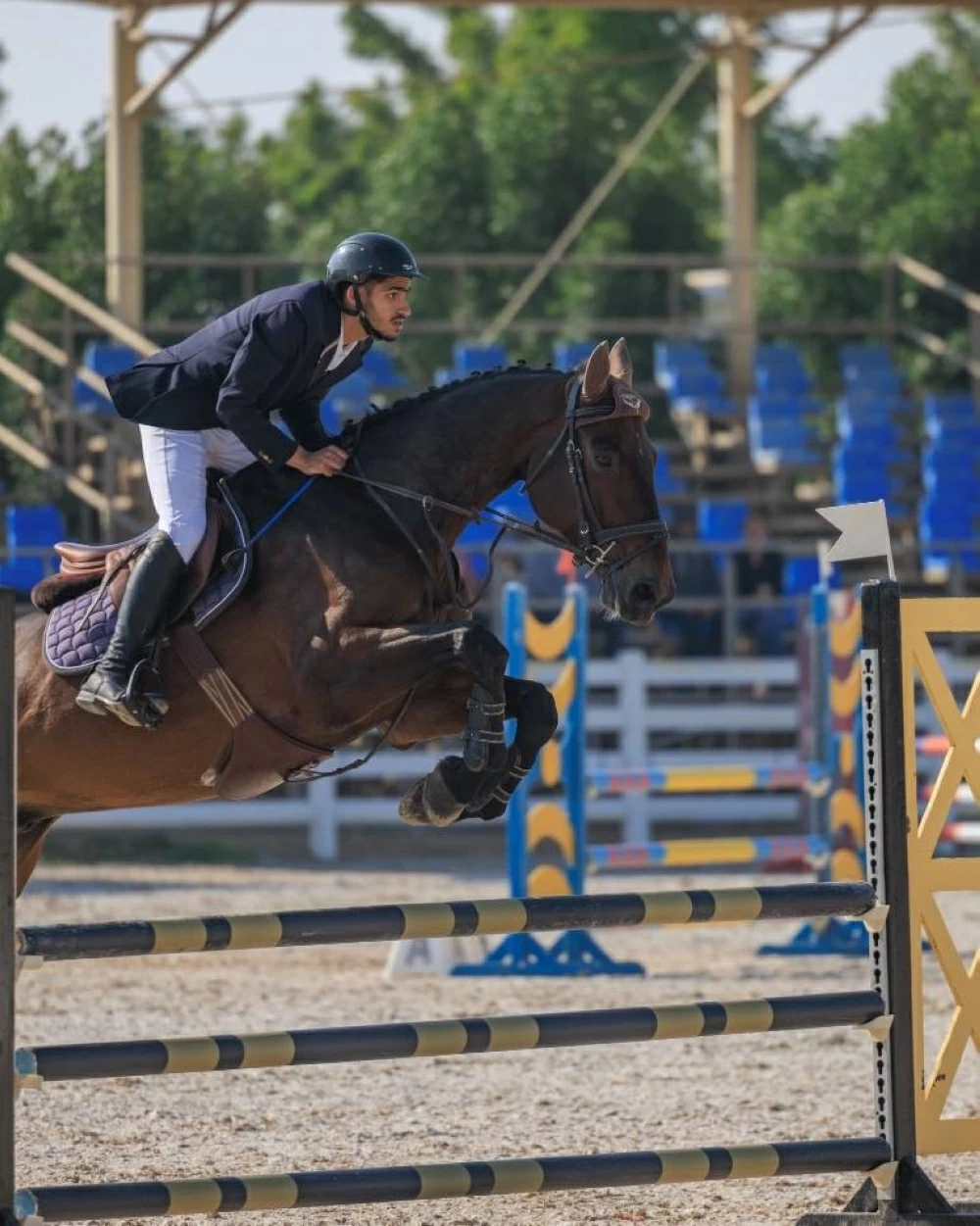 انطلاق أولى بطولات قفز الحواجز بالموسم الجديد.. الجمعة