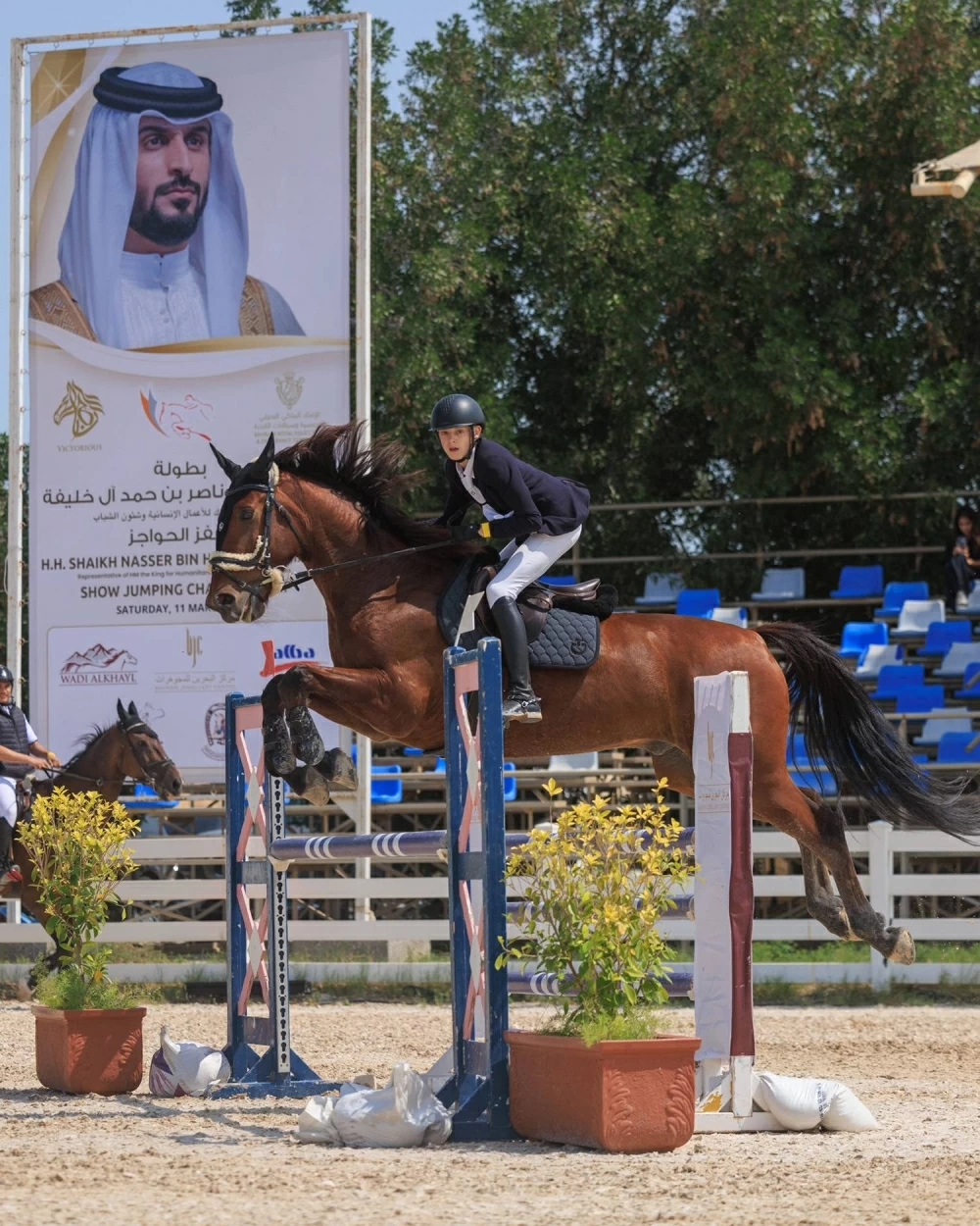 انطلاق أولى بطولات قفز الحواجز بالموسم الجديد.. الجمعة