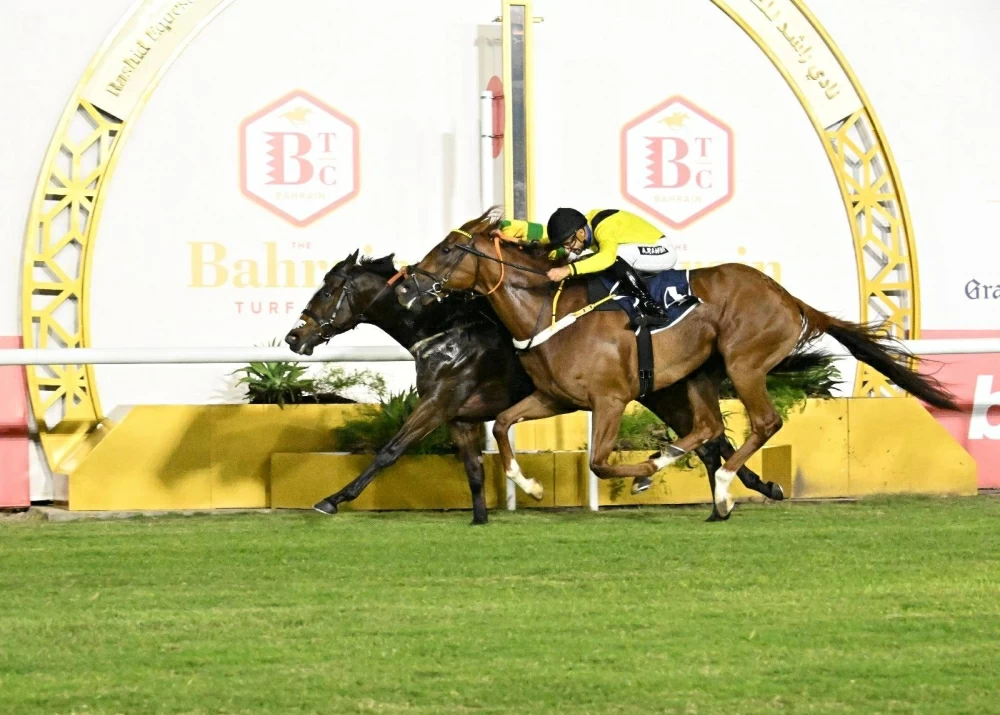 صراع الجياد على كؤوس شركة " جيبك " والمرحوم عبد الهادي العفو