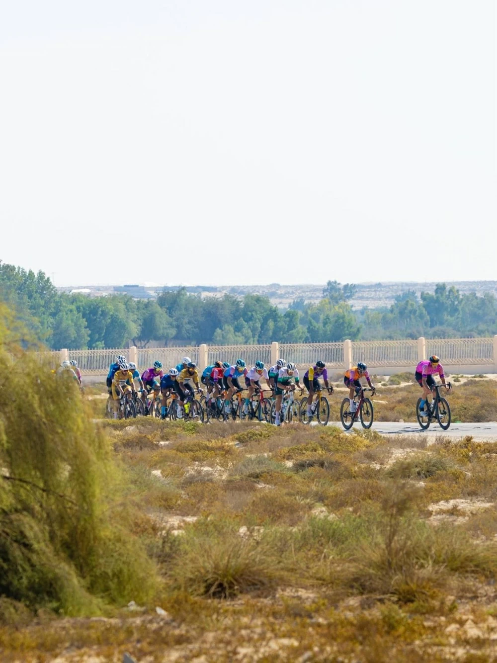 محمد حسن يتألق ويحصد ثلاثة قمصان في طواف ناصر بن حمد للهواة