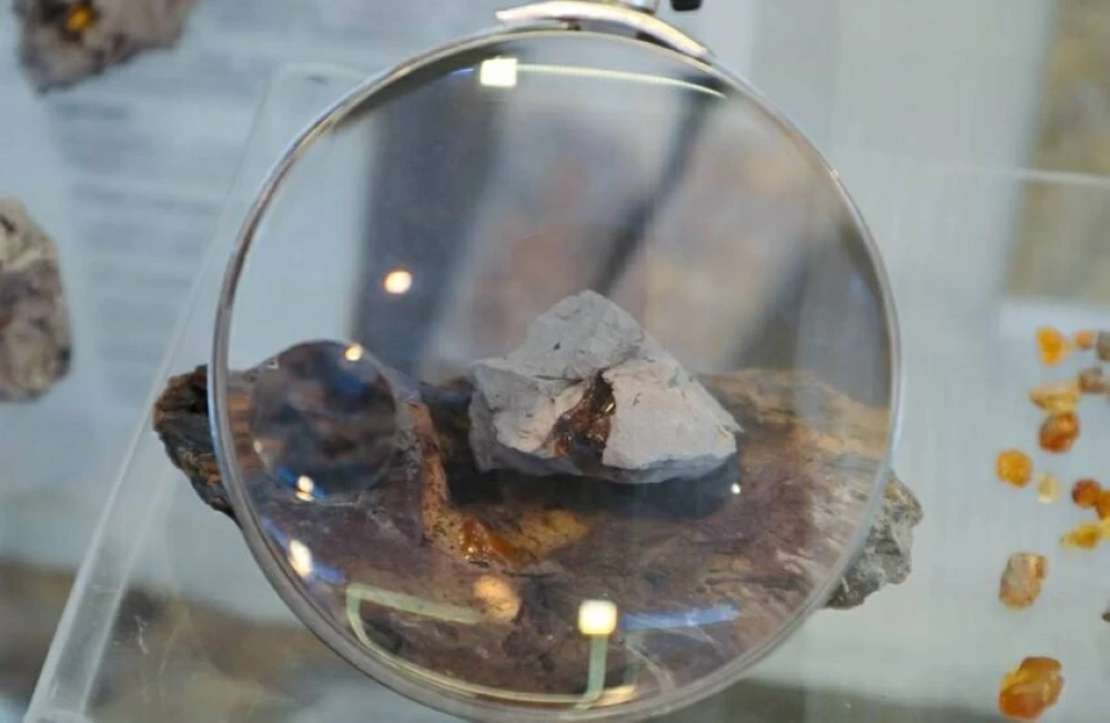 العثور على قطعة كهرمان في روسيا يتجاوز عمرها 100 مليون عام