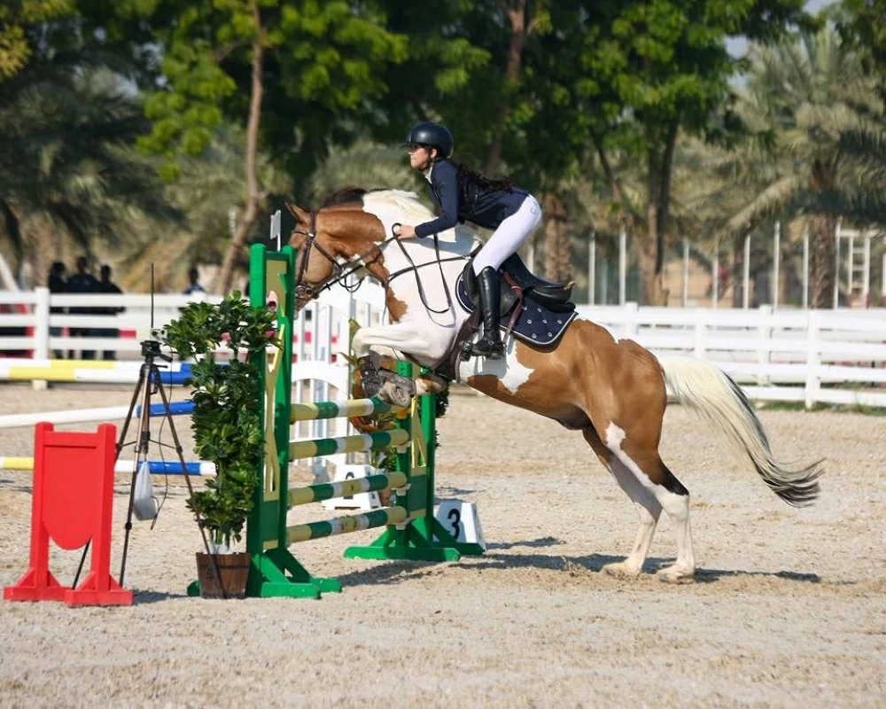 بداية قوية ومنافسات مثيرة وفرسان الداخلية يتألقون على منصات التتويج