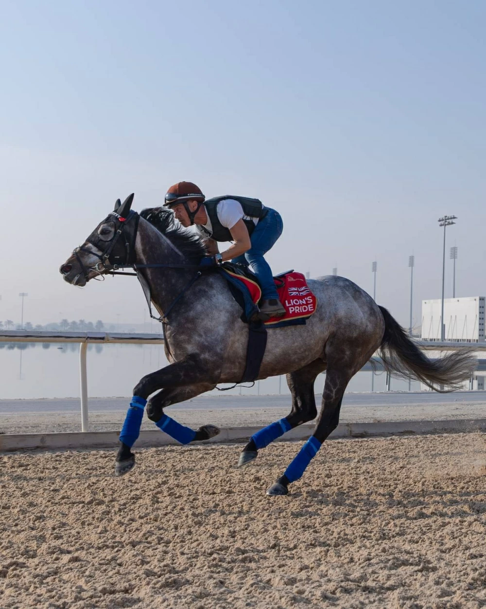 كأس البحرين الدولي يتهيأ بمشاركات عالمية وفعاليات وأجواء استثنائية