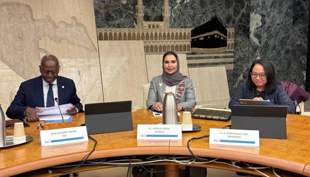د. الفاضل تقدّم لـ "الفاو" مقترحات لتطوير رؤية برلمانية للأمن الغذائي العالمي